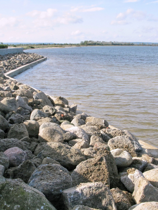 REWA